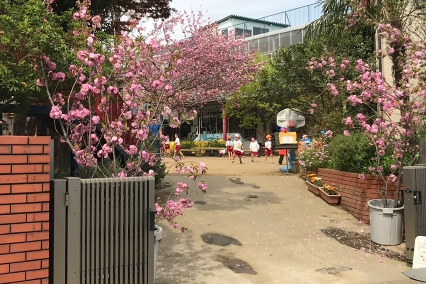 園児募集要項